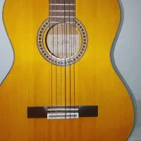 گیتار اریا