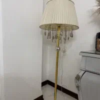 آباژور کاملا سالم