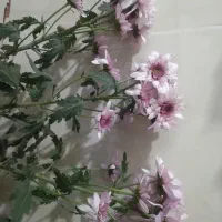 باسلام شوکه شویدباتغیر