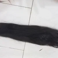 خرید فروش مو