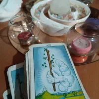 فال شهرزاد