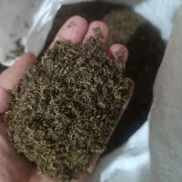 سبزی خشک