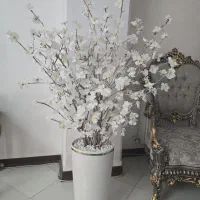 درختچه شکوفه