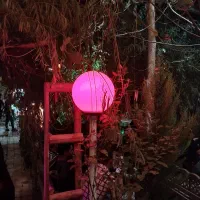 نیازمند قلیانزن آقا و یک نفر سالندار خانم