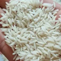 برنج هاشمی محلی نیم دانه تازه ناصر سرا