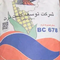 بذر ذرت بی سی ۶۷۸