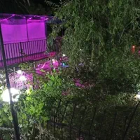 اجاره ویلاروزانه/هفتگی/ماهانه