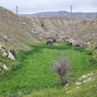 فروش سرسیلندر پژو