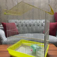 قفس پرنده