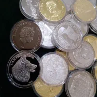 سکه مدال آبکاری طلا و نقره کلکسیونی خارجی