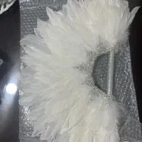 بادبزن پر  عروس پرکار