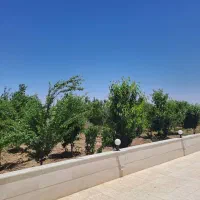چهاردیواری-گلی-قدیمی-قنات-ناصری