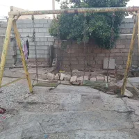 تاب