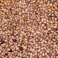 لوبیا غفاز امساله