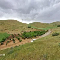 باغ-جاده-مریوان-جاده-جدید-روی-جاده-اصلی