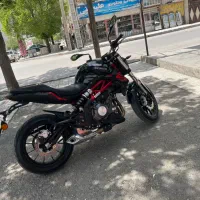 بنلی ۳۰۰جفت