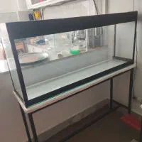 اکواریوم بزرگ ماهی با پایه معاوضه با طوطی گرینچیک