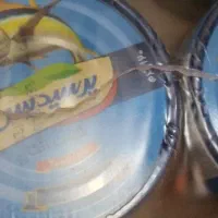 تن ماهی