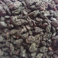 فروش شکر و کشمش مویز