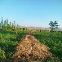 یونجه دریز فروش فوری