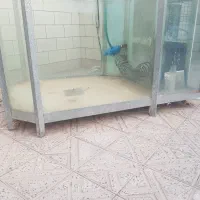 اکواریوم صنعتی ماهی زنده