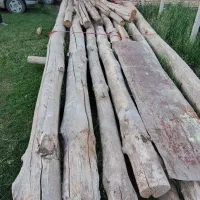 چوب فروشی(گاریته)