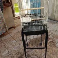 قفس مرغ مینا و‌پایه هاش جای عروس هلندی هم میشه
