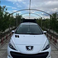 پژو۲۰۷پانوراما ۴۰۱( کم کارخانگی)