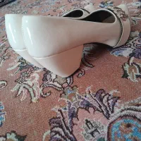 کفش مجلسی