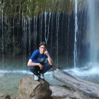 فروش تنه درختان سنجه