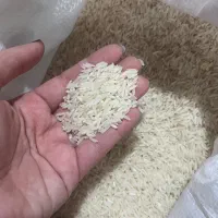 برنج طارم هاشمی شمال خوش عطر و طعم