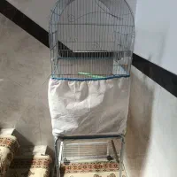 قفس با پایه