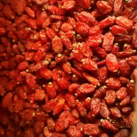 زعفران سرگل ممتاز. زرشک پفکی بدون روغن ۸۴۵ ت