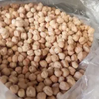 فروش نخد دیم