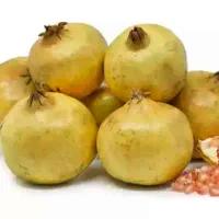 میوه انار