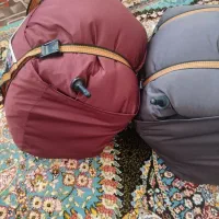 کیسه خاب بوفالو