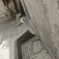 سپر عقب پژو