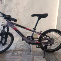 دوچرخه اینتنز