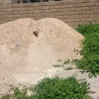 فروش زمین در اکبر اباد|فروش زمین و ملک کلنگی|ایذه, |دیوار