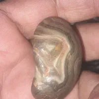 مهره سلطانی گبری مصور