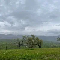 زمین آینده دار مناسب طرح وویلاباغ