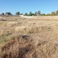 زمین-سلطان-آباد