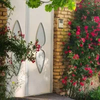 پرستار برای خانم سالمند