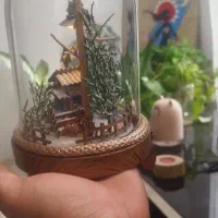 اکسسوری زیبا