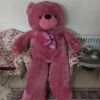 خرس بزرگ در حد نو