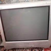 تلویزیون