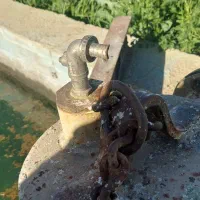 کارگر گاوداری با خانواده دو خانوار