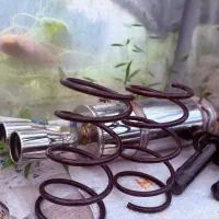 کمک فنر kds و فنر لول لنزو اصلی