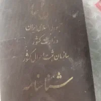 شناسنامه پیداشده