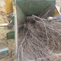 نیازمند کارگر ساده آقا.